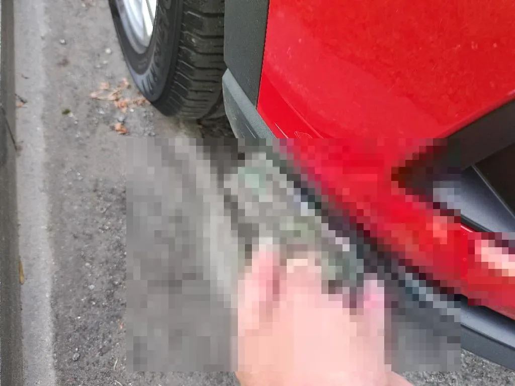 Reported damage