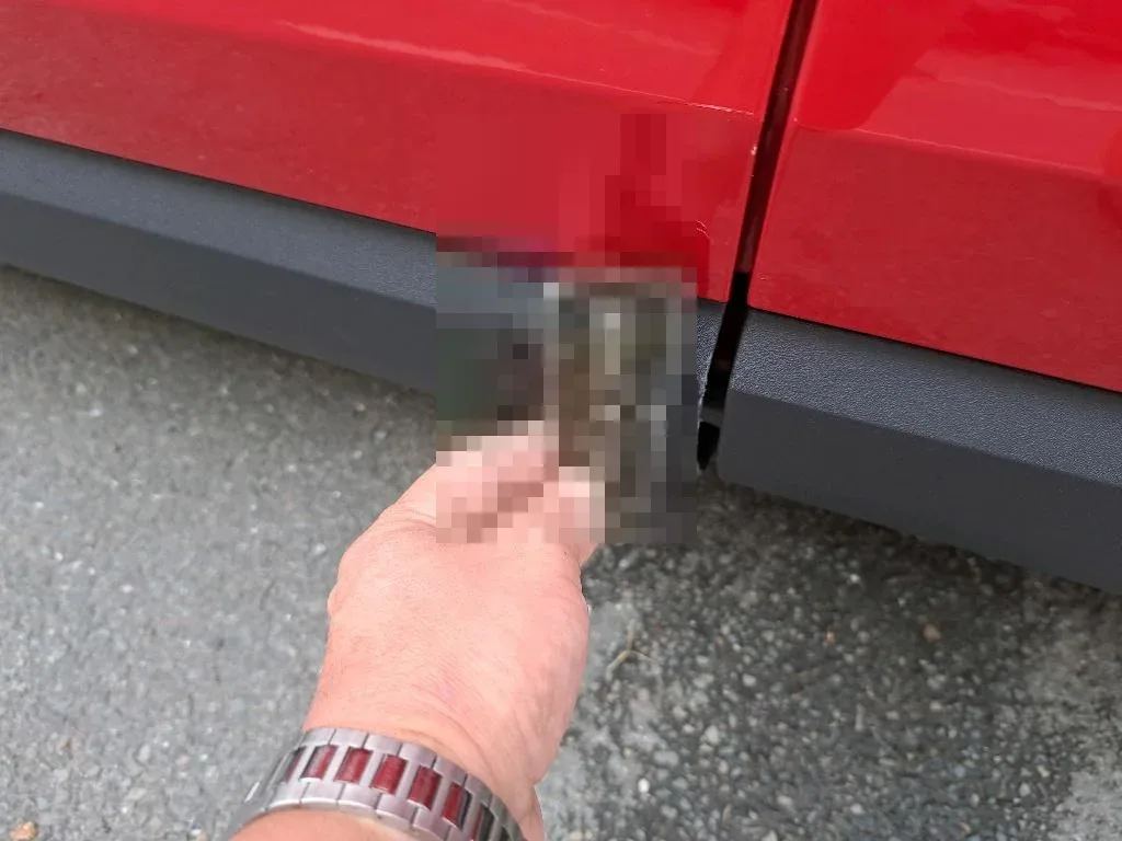 Reported damage