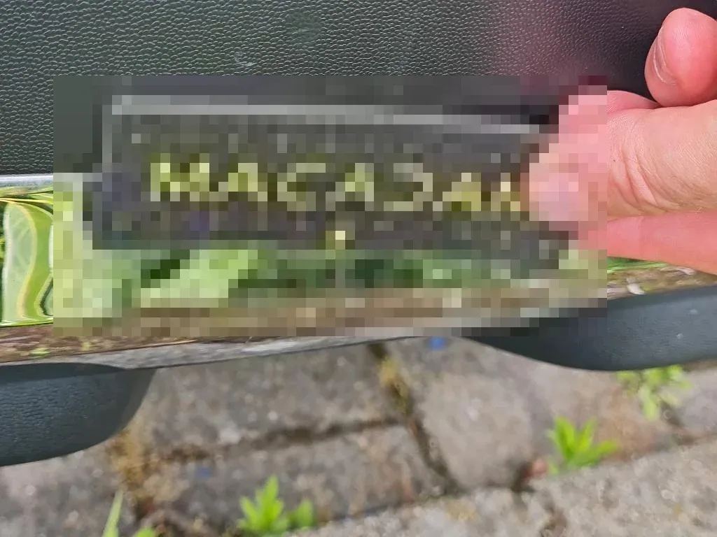 Vastgestelde schade