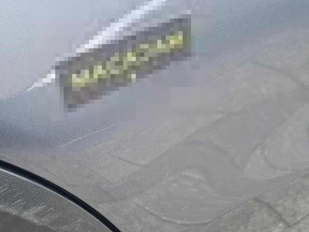 Vastgestelde schade