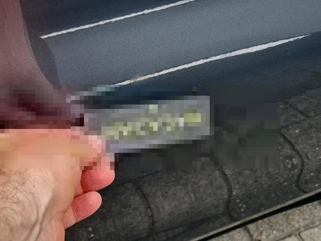 Vastgestelde schade