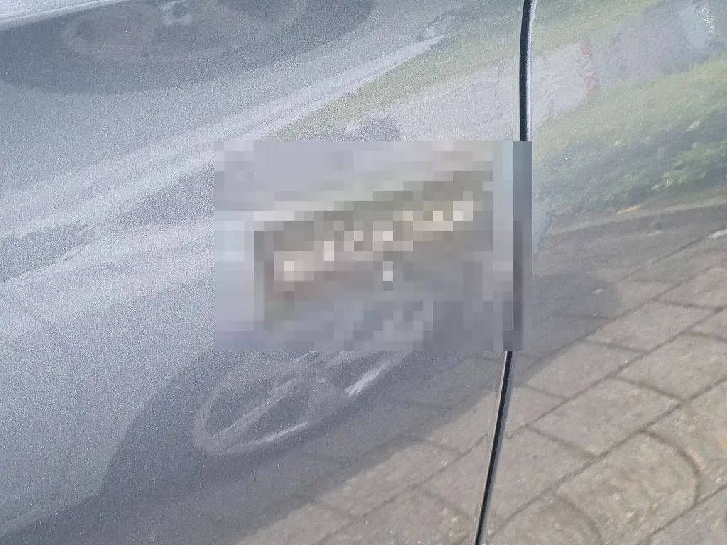 Vastgestelde schade
