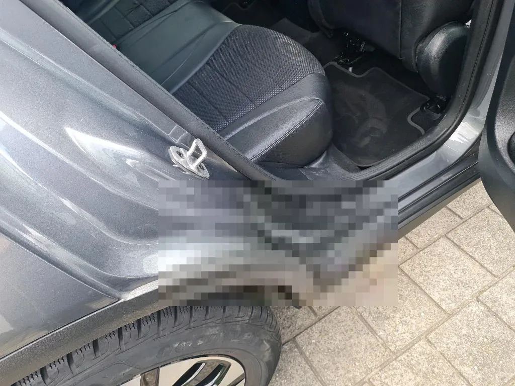 Vastgestelde schade
