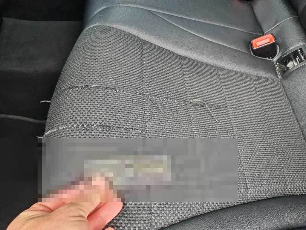 Vastgestelde schade