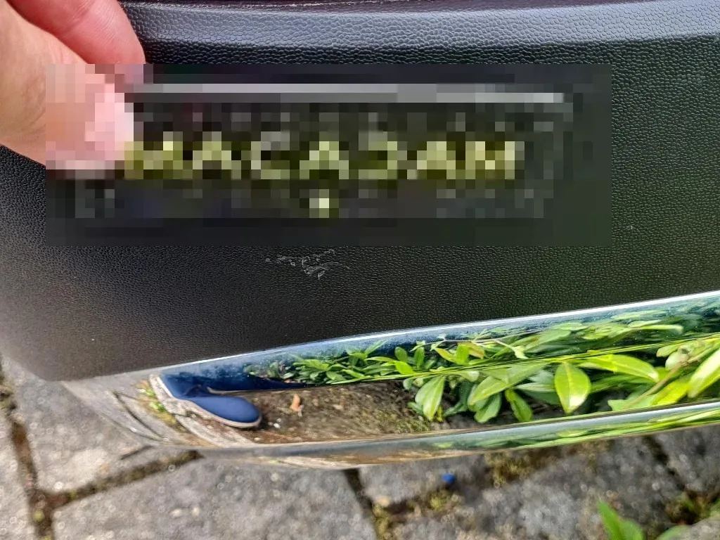 Vastgestelde schade