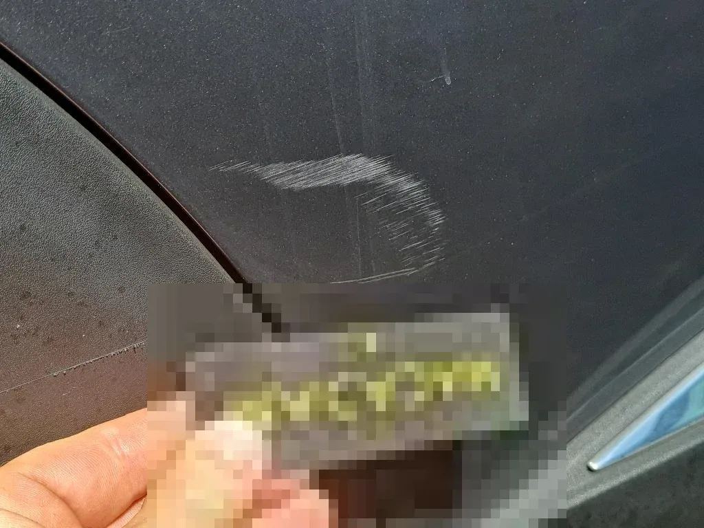 Reported damage