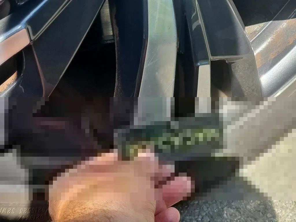 Reported damage