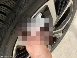 Reported damage