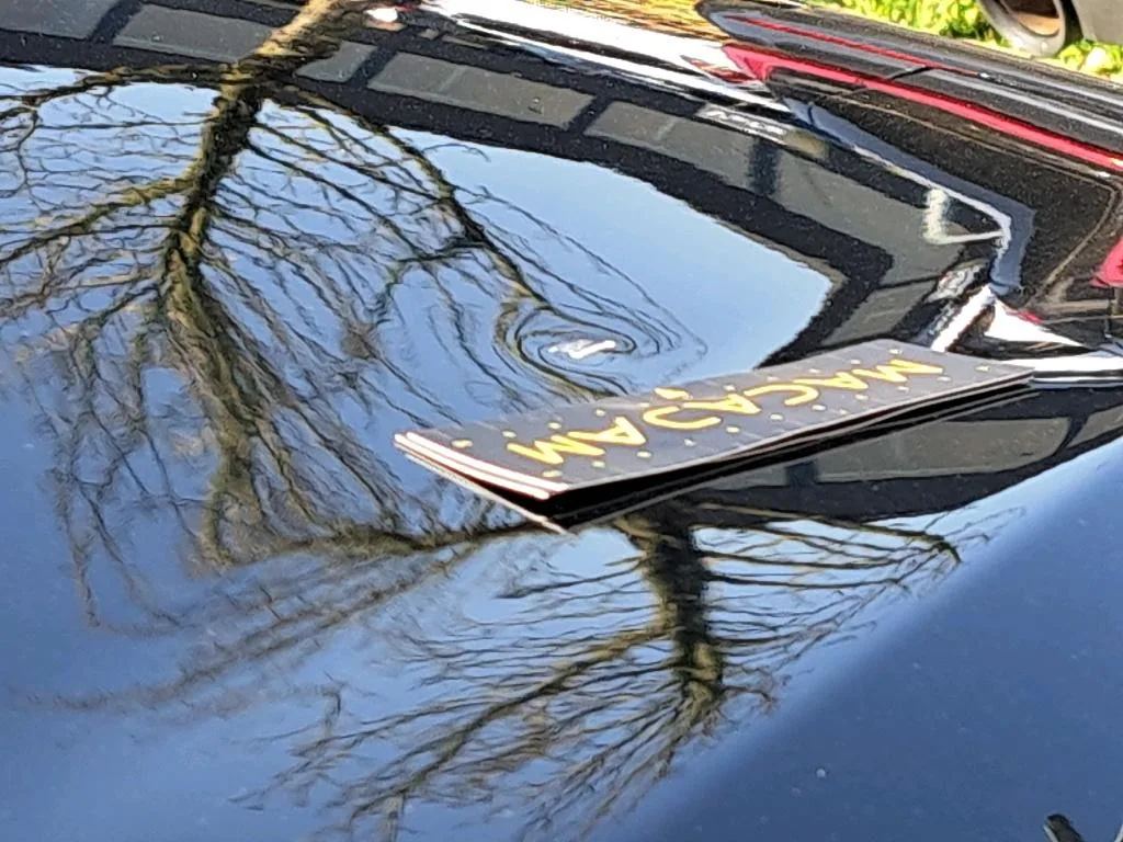 Vastgestelde schade