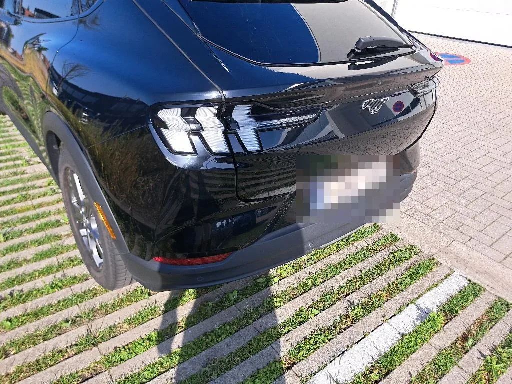Vastgestelde schade