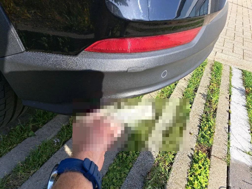 Vastgestelde schade