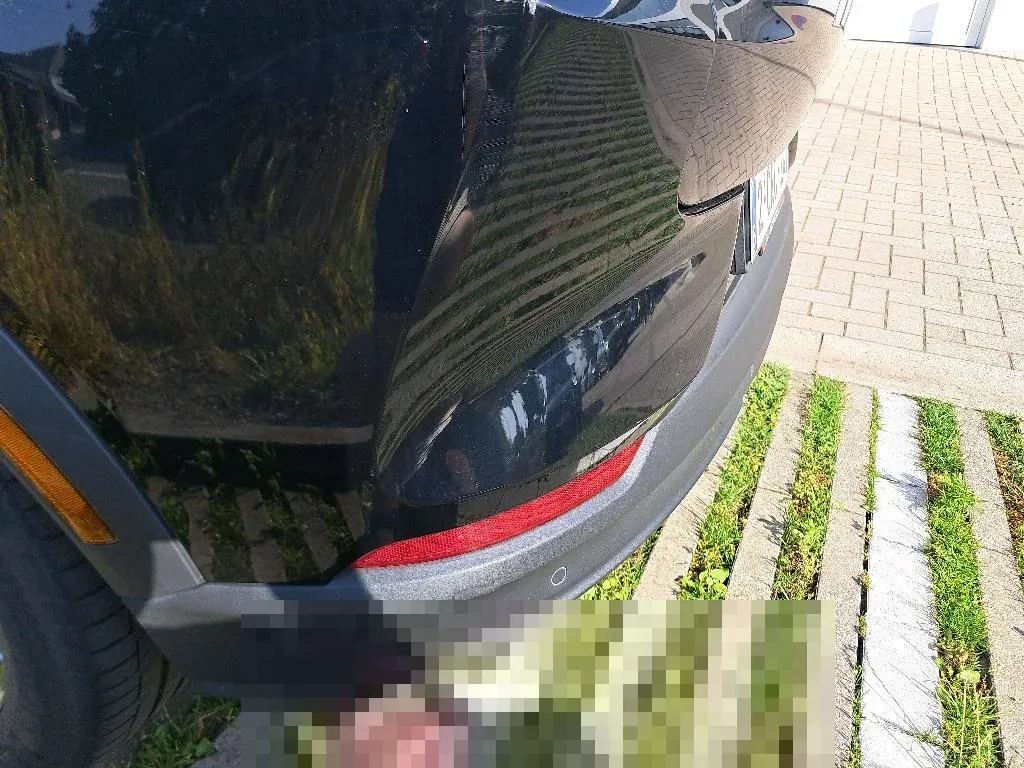 Vastgestelde schade