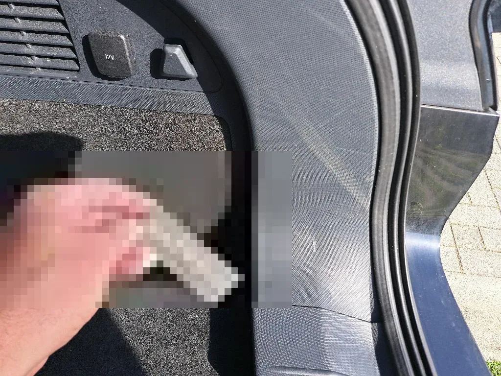 Vastgestelde schade