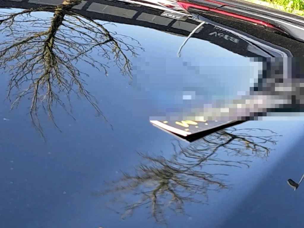 Vastgestelde schade