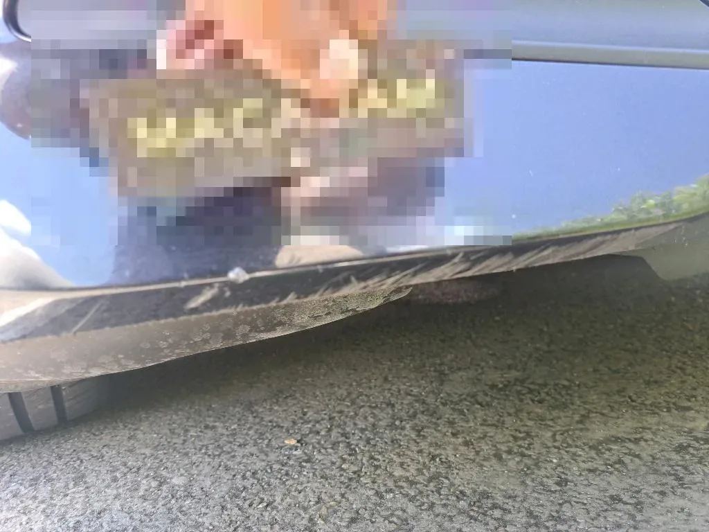 Vastgestelde schade