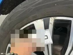 Reported damage