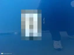 Reported damage