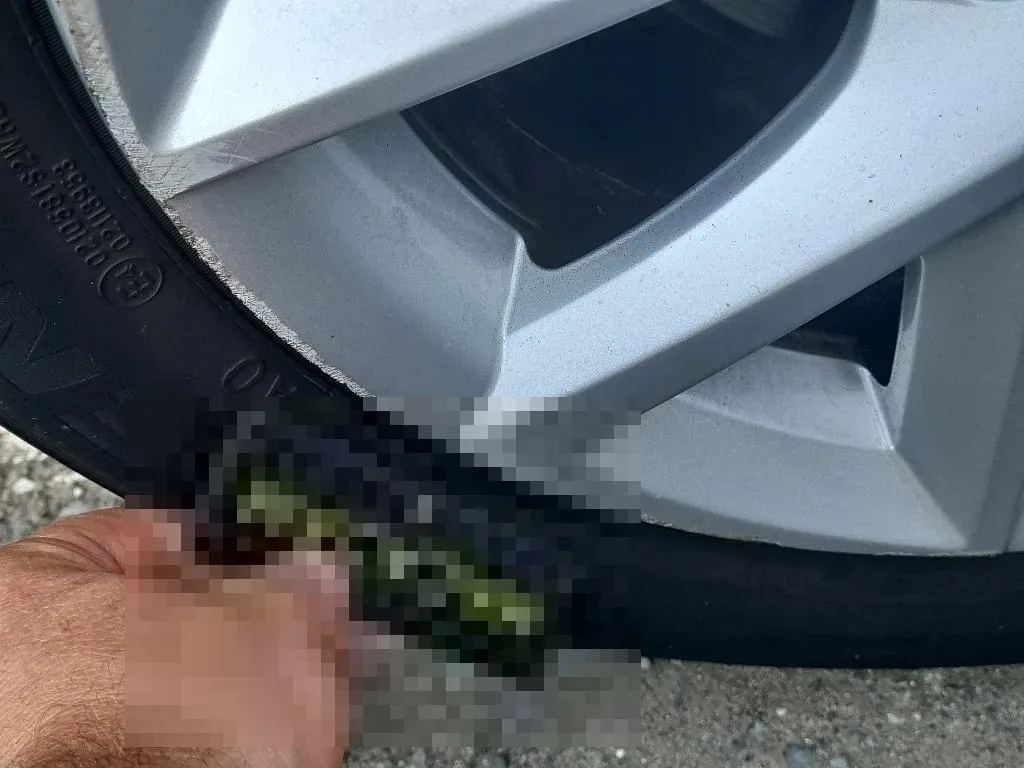 Reported damage