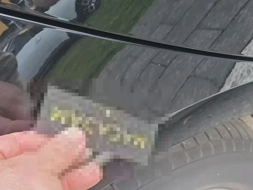 Reported damage