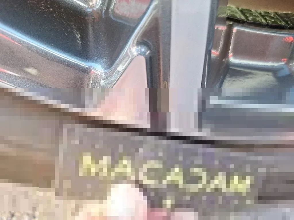Vastgestelde schade