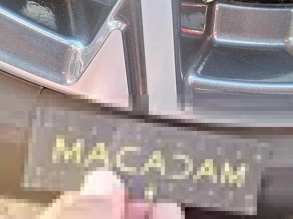Vastgestelde schade