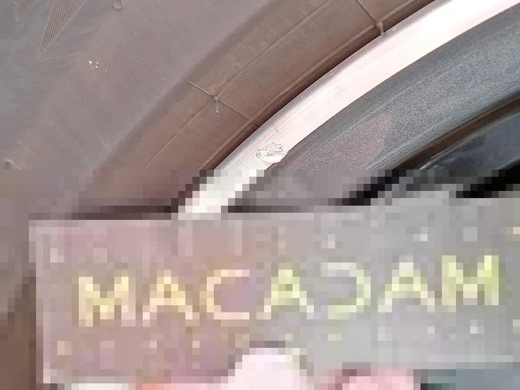 Vastgestelde schade