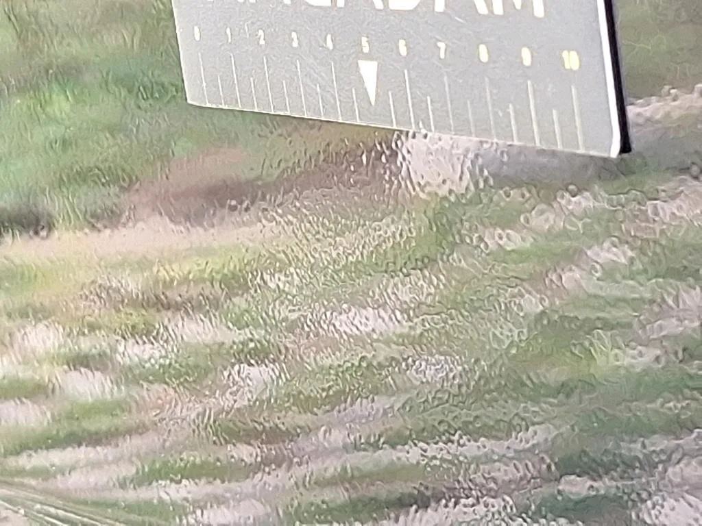 Reported damage