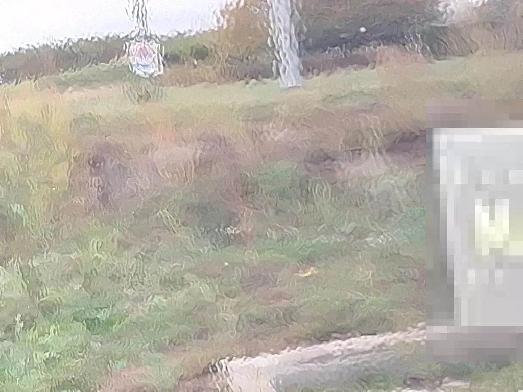 Reported damage