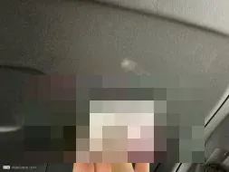 Vastgestelde schade