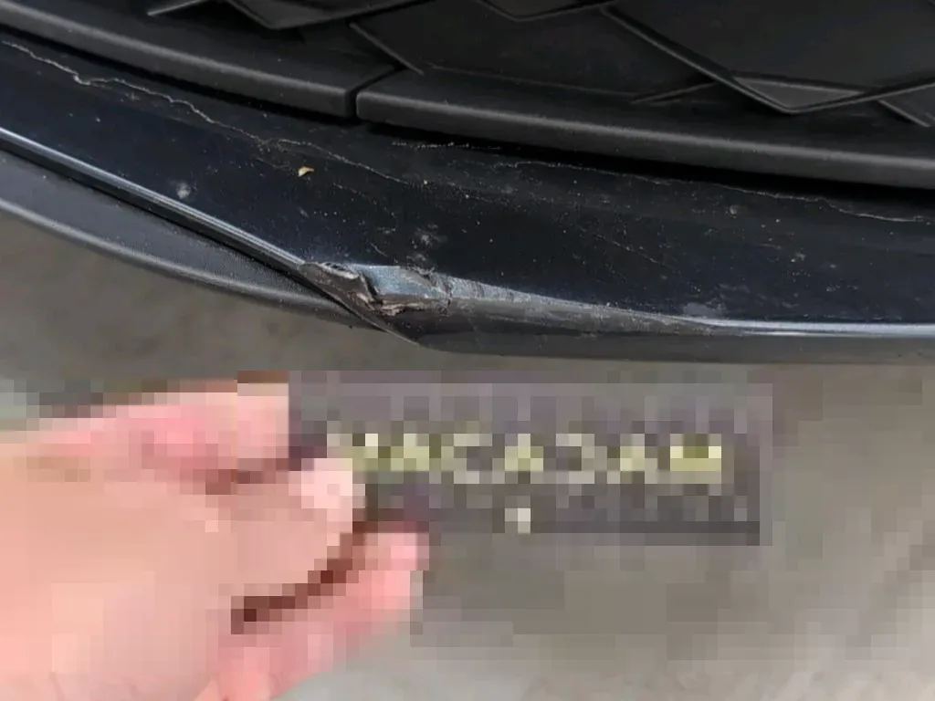Vastgestelde schade