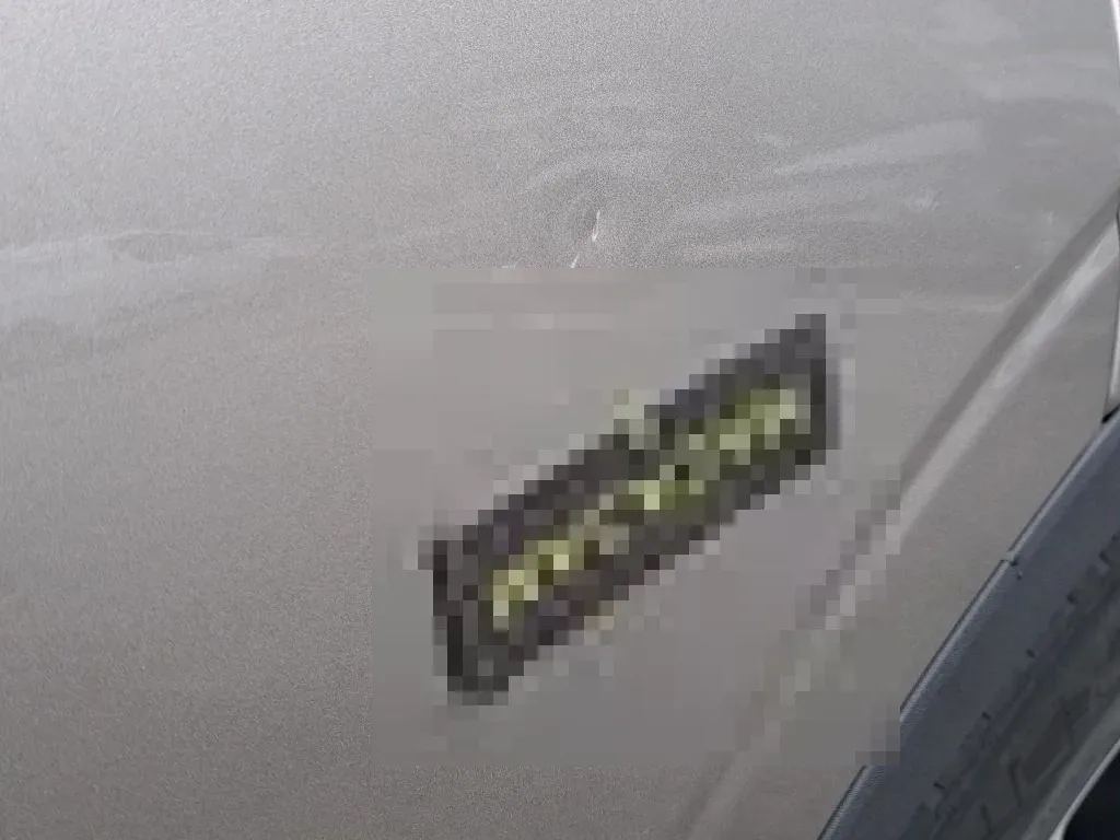 Reported damage