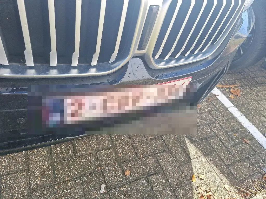 Vastgestelde schade