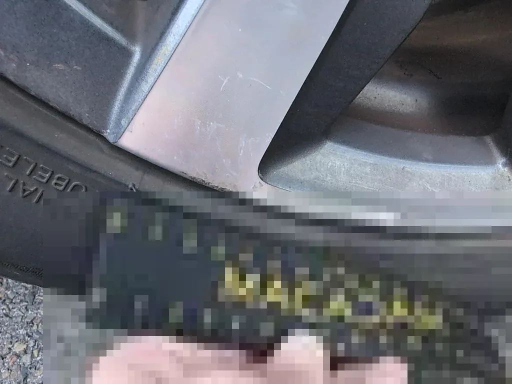 Vastgestelde schade