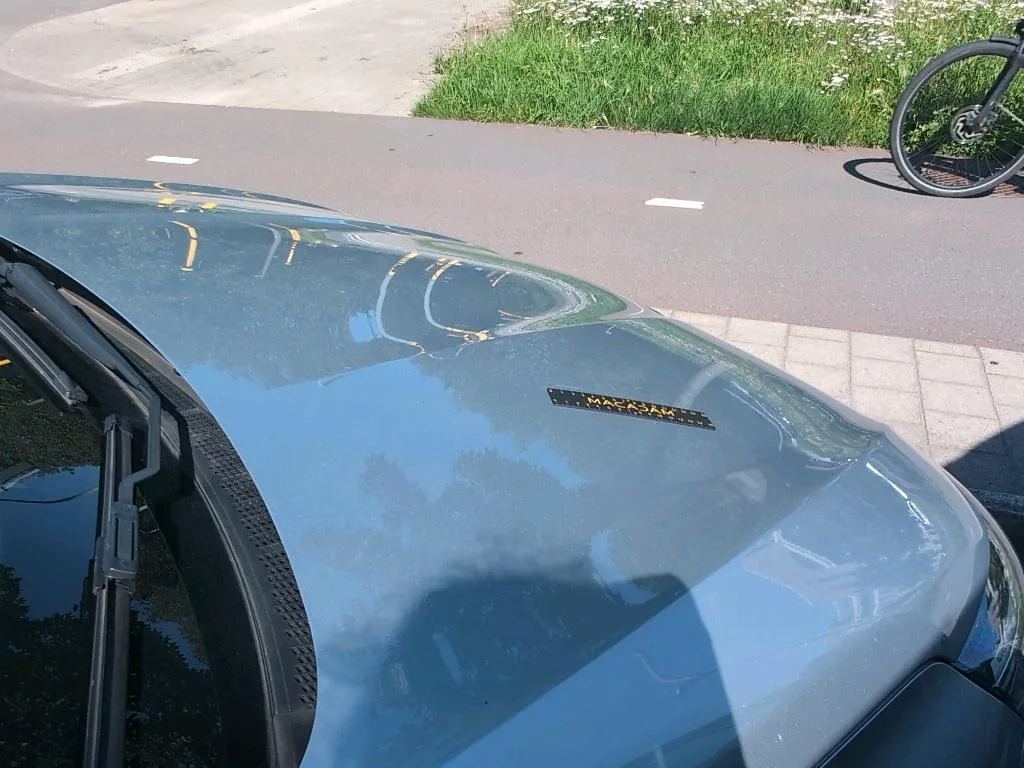 Vastgestelde schade