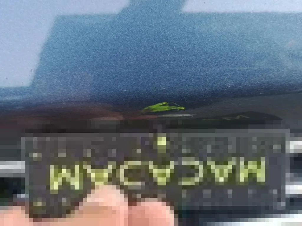 Reported damage