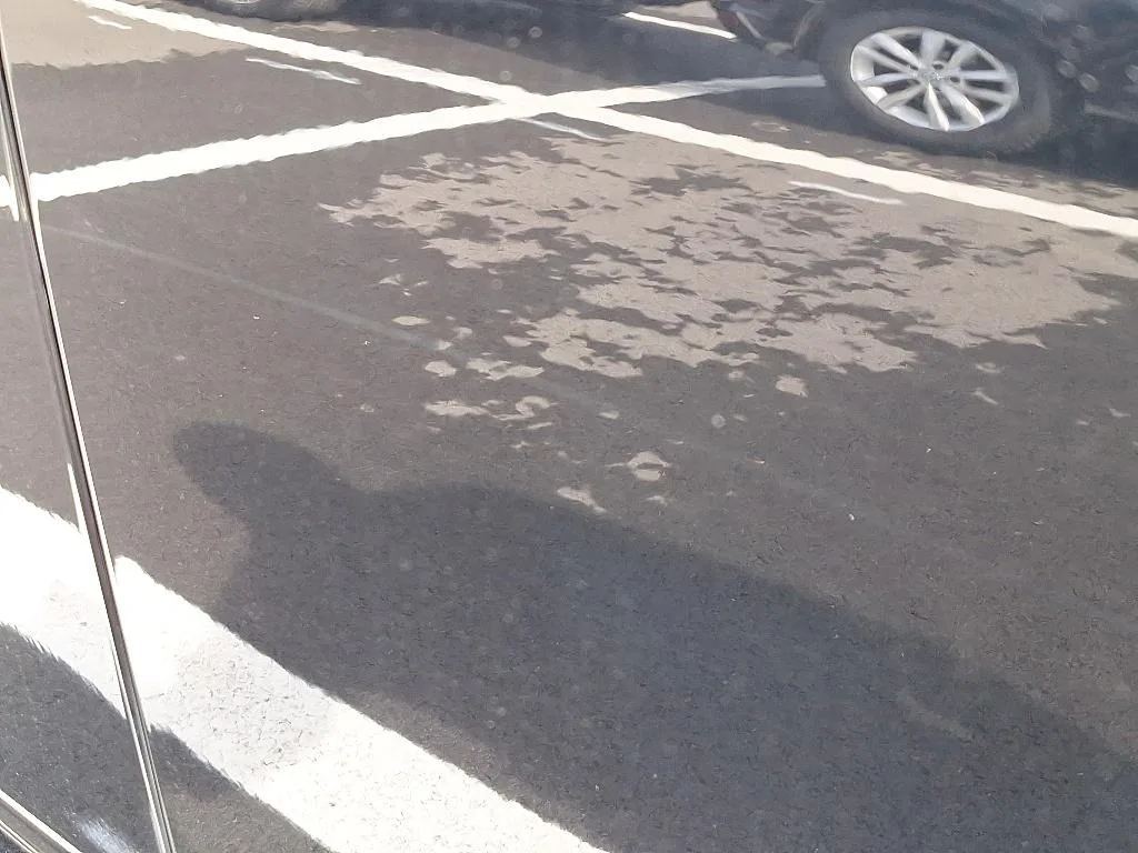 Reported damage