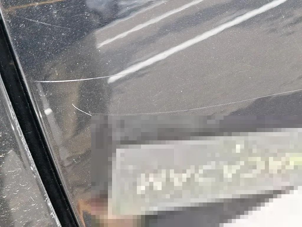 Reported damage