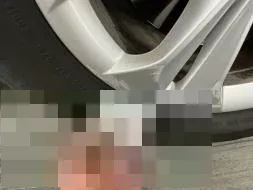 Vastgestelde schade