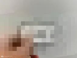 Vastgestelde schade