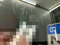 Vastgestelde schade