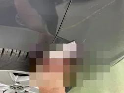 Vastgestelde schade