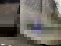 Vastgestelde schade