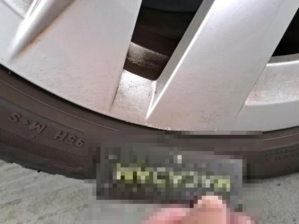 Reported damage