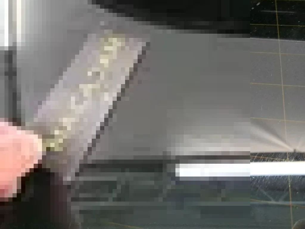 Reported damage