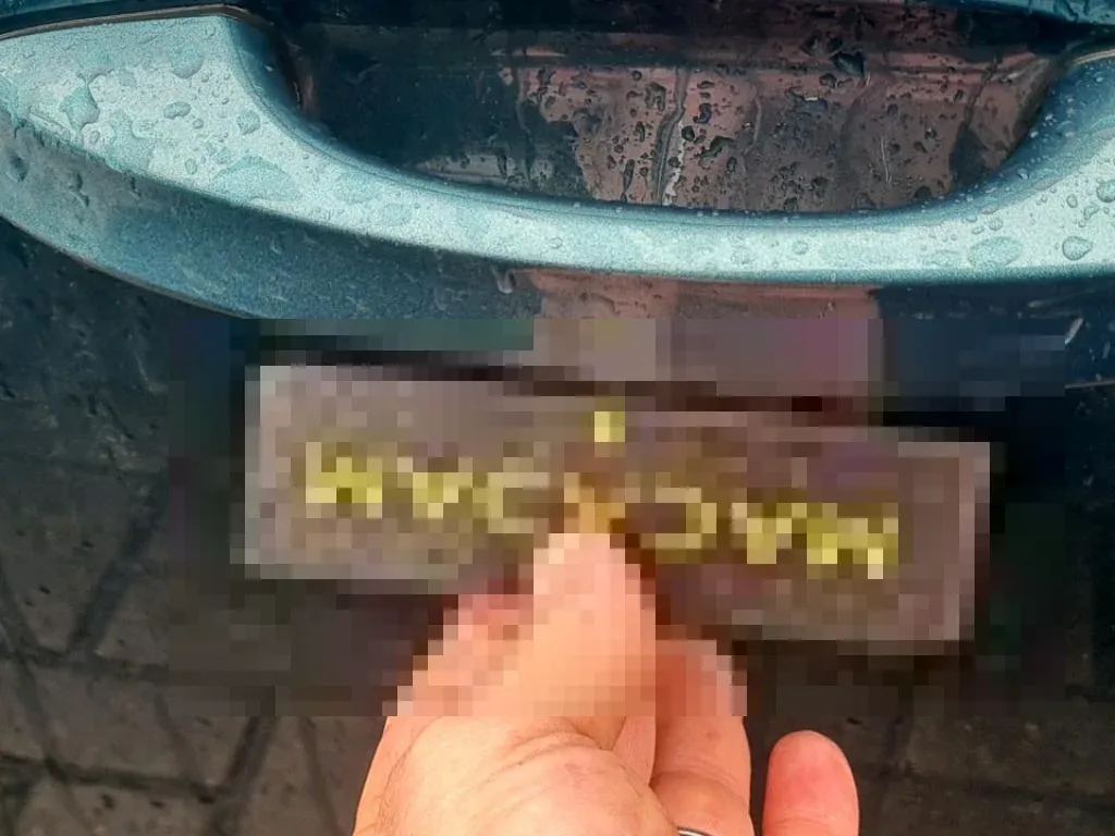 Dommages constatés