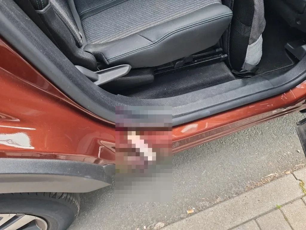Reported damage