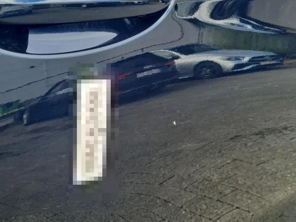 Vastgestelde schade
