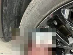 Vastgestelde schade