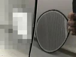 Dommages constatés