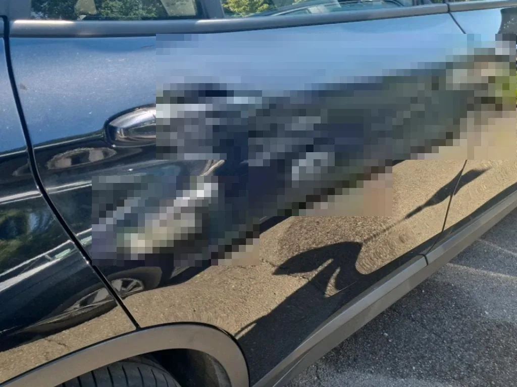Vastgestelde schade